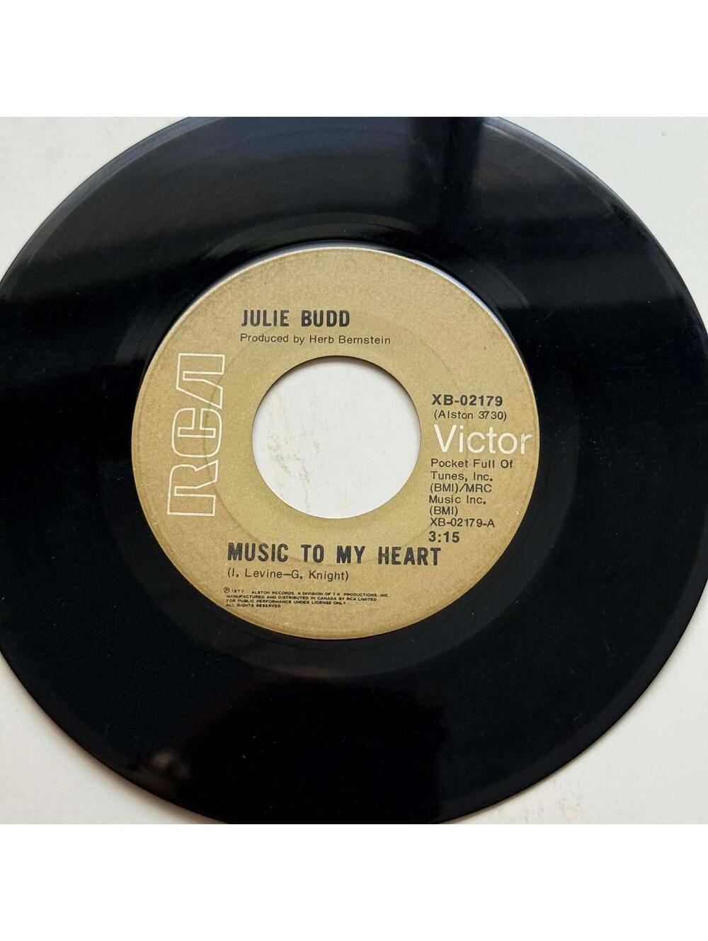Julie Budd - Someone to Light up my Life/Music to my Heart 45rpm VG+ R22